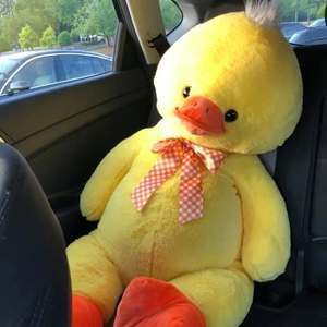 Meet your Posher, Kylene